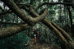 BIB: 
                            <button type="button" onclick="openModal(25664301)" class="btn btn-primary btn-sm float-right btn-popup" data-toggle="modal" data-target=".modal-high-quality">
                        <i class="fas fa-shopping-cart"></i> Add to Cart
                    </button>
                                            <button type="button" onclick="isThisMe(25664301, true)" class="btn btn-success btn-sm float-right btn-popup btn-isme hidden" data-toggle="tooltip" data-placement="bottom" title="นี่คือรูปของคุณใช่ไหม คลิกที่นี่เพื่อเอาเข้าอัลบั้ม">
                        <i class="fas fa-plus"></i> Add to album
                    </button>
                    <button type="button" onclick="isThisMe(25664301, false)" class="btn btn-warning btn-sm float-right btn-popup btn-isnotme hidden">
                        <i class="fas fa-ban"></i> Remove from album
                    </button>